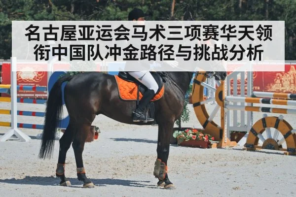 equestrian dressage horse - kaiyun