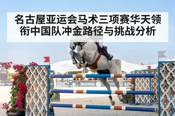 show jumping horse rider